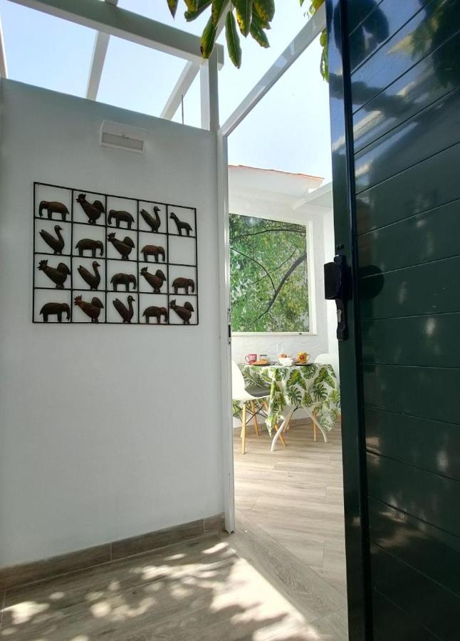 マスパロマスCasa Magaアパートメント エクステリア 写真